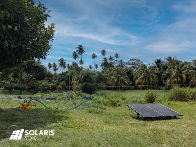 Pompe à eau solaire pour l'irrigation d'un champ de légumes en Martinique