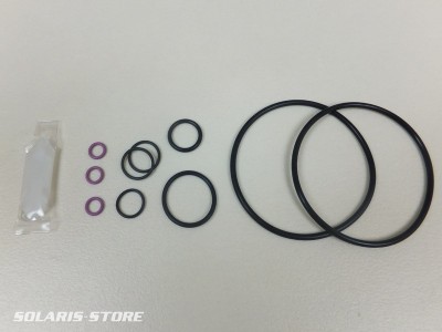 Kit de joints toriques pour pompe SHURFLO 9325 | 94-142-00
