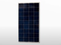 Panneau solaire Polycristallin VICTRON 270W