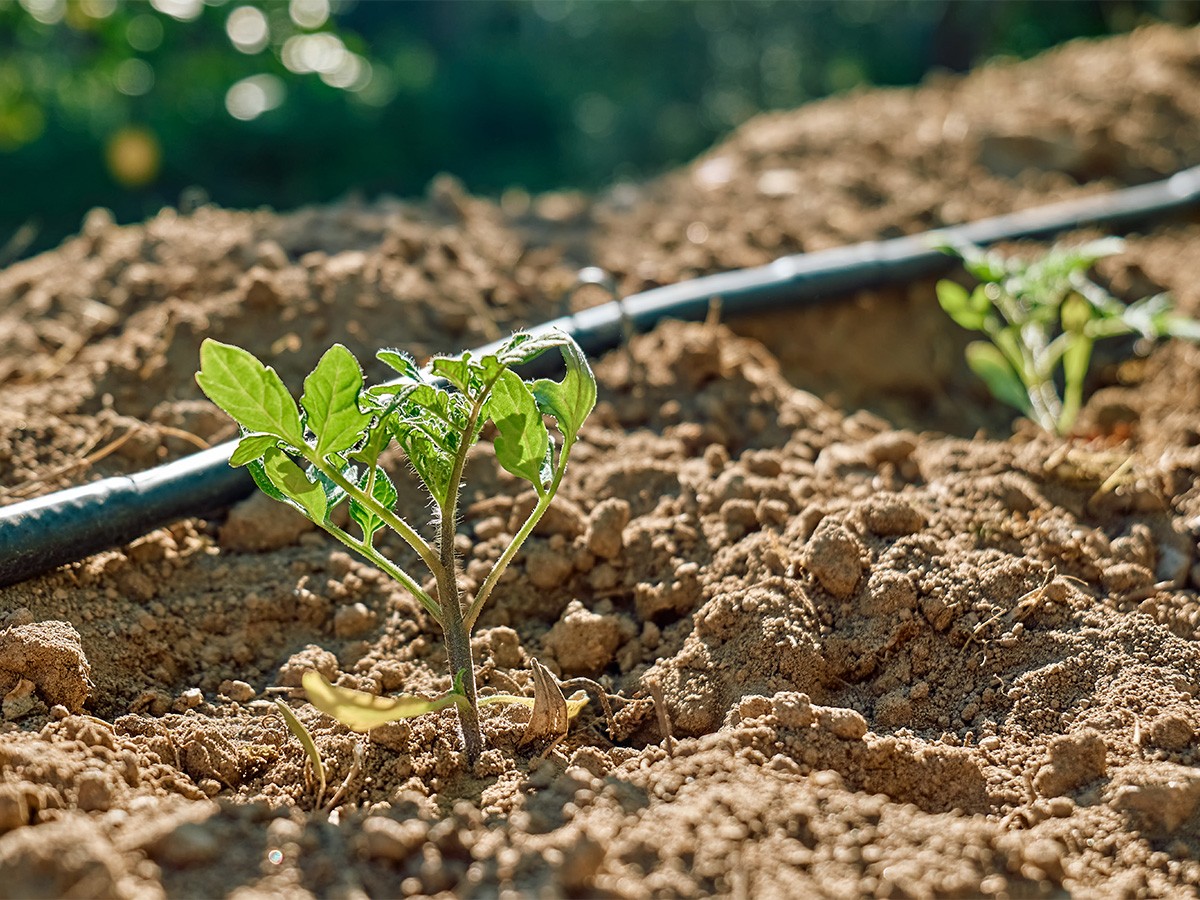 système d'irrigation pour jardin, 40 m, kit d'irrigation, système d'irrigation  goutte