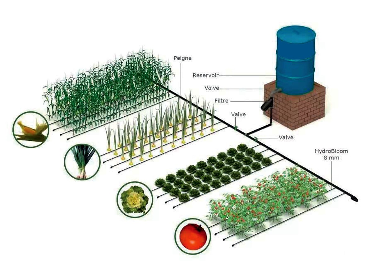 Un arrosage automatique goutte à goutte par pompe immergée connectée