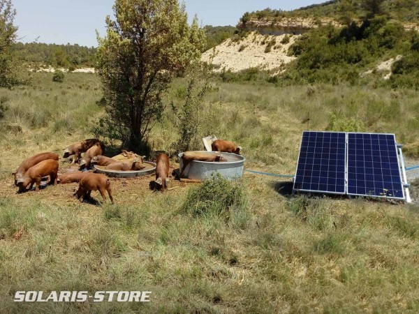 Abreuvoir alimenté par une pompe solaire immergée Lorentz PS-S1-200