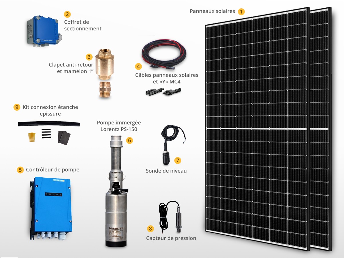 Kit pompe solaire immergée pour goutte à goutte LORENTZ