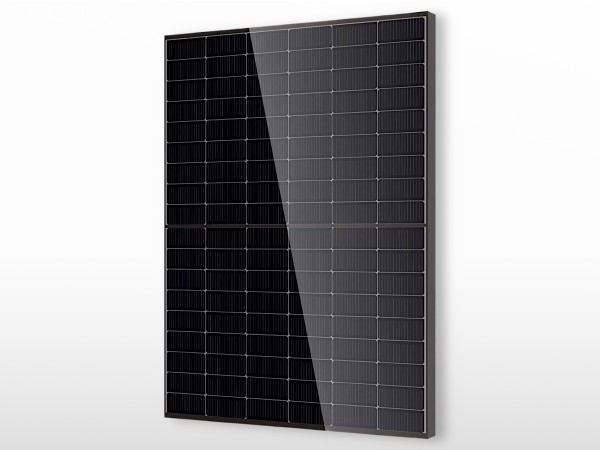Panneau solaire Bifacial / Bi-verre transparent DMEGC Infinity RT | 460W