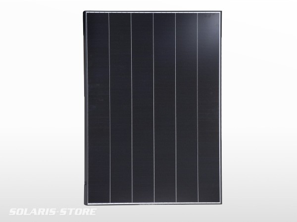Panneau solaire back contact BLACKWELL 155W