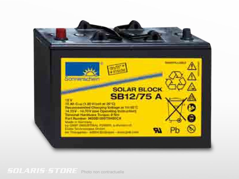 Batterie solaire gel SONNENSCHEIN SB12/ 60A