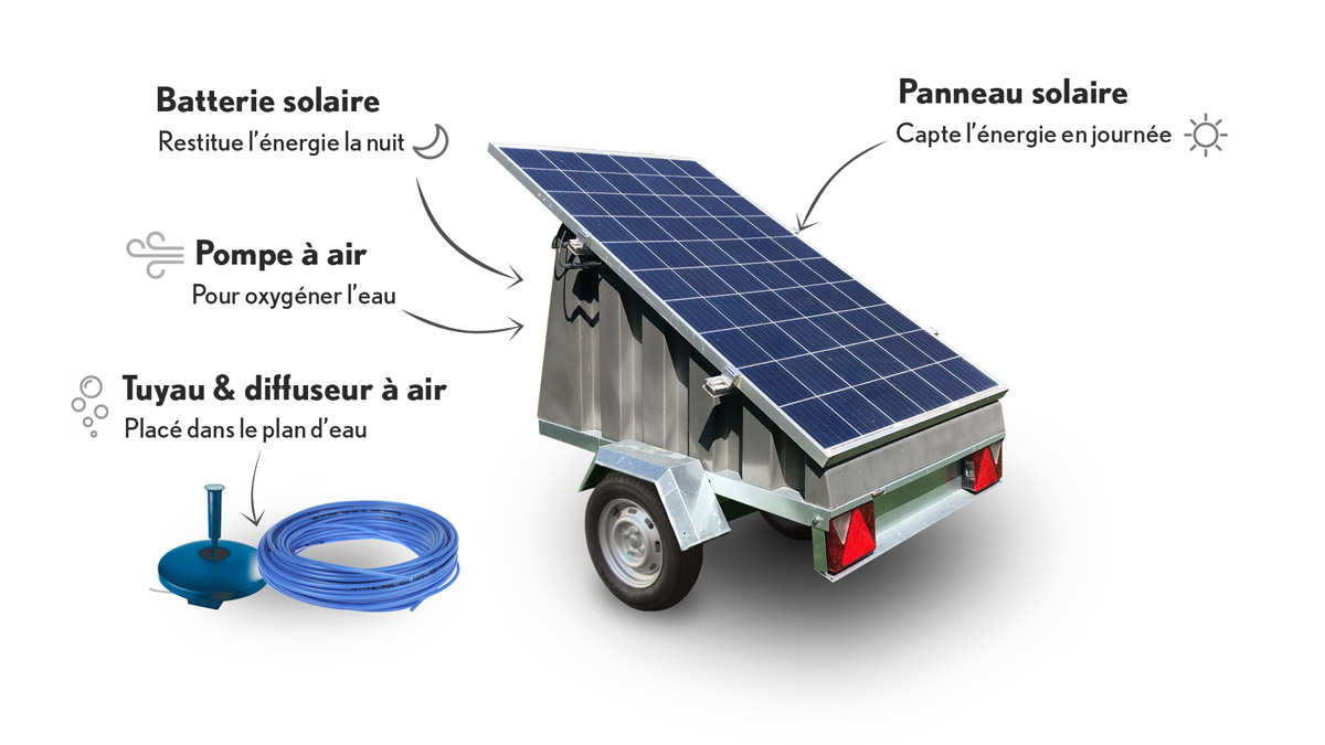 Aérateur solaire autonome pour l'oxygénation des étangs